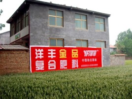 霍山如何让墙体广告展现最大化效果