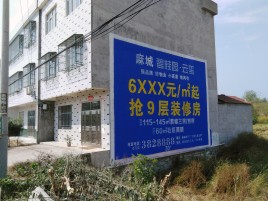 霍山墙体广告质量分析