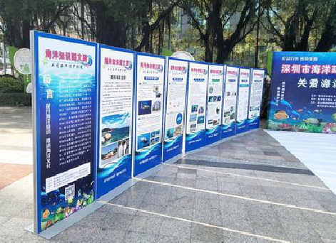 霍山KT板的种类和知识。